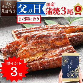 父の日 まだ間に合う 早割 【P3倍で→実質9,589円】 ギフト プレゼントうなぎ 国産 豊橋産 蒲焼き 3尾選べるサイズ 中・大・特々大 約3人前〜約6人前送料無料 愛知県産 専門店 誕生日 食べ物 真空パック 贈り物 ご贈答 内祝い 60代 70代 80代