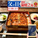 父の日 まだ間に合う 【P3倍→実質5,559円〜】ギフト プレゼントうなぎ 国産 蒲焼き 2尾選べるサイズ 中・大・特々大 …