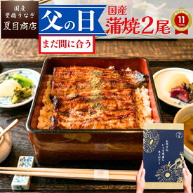 父の日 まだ間に合う 【P3倍→実質5,559円〜】ギフト プレゼントうなぎ 国産 蒲焼き 2尾選べるサイズ 中・大・特々大 約2人前〜約4人前送料無料 愛知県 専門店 誕生日 食べ物 真空パック 贈り物 内祝 60代 70代 80代 父の日当日到着可能