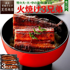 yő200~OFFN[|zΏĂ3Z큚 Ȃ Ă XEE e1 Hה 4lO Y mY X Ε a v[g Hו ^pbN 蕨 j 