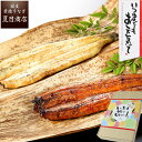 敬老の日 プレゼント ギフト人気No.1 うなぎ 鰻 ウナギ unagi 紅白セット 蒲焼き 白焼き 155-167g×各1尾 大サイズ 大盛2人前 送料無料 国産 愛知県産 専門店 お中元 敬老の日 暑中御見舞 残暑御見舞 誕生日 食べ物 真空パック 贈り物 内祝い 60代 70代 80代 孫