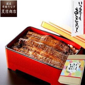 敬老の日 プレゼント ギフトうなぎ 鰻 ウナギ unagi 蒲焼き 中サイズ 115-130g×2尾 約2人前送料無料 国産 愛知県産 専門店 お中元 敬老の日 暑中御見舞 残暑御見舞 誕生日 食べ物 真空パック 贈り物 内祝い 60代 70代 80代 孫