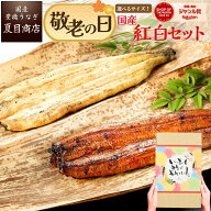 まだ間に合う 敬老の日 うなぎ 国産 ギフト プレゼント 豊橋産 紅白セット 蒲焼き 白焼き 各1尾選べるサ…