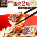 【母の日当日13時迄のご注文は即日出荷】 母の日 うなぎ ギフト 国産 豊橋産 蒲焼き 2尾選べるサイズ 中・大・特々大 約2人前〜約4人前送料無料 愛知県産 専門店 誕生日 食べ物 真空パック プレゼント 贈り物 内祝い 60代 70代 80代 花以外