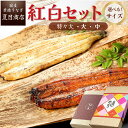 【母の日当日13時迄のご注文は即日出荷】 母の日 うなぎ ギフト 国産 豊橋産 紅白セット 蒲焼き 白焼き 各1尾選べるサイズ 中・大・特々大 約2人前〜約4人前送料無料 専門店 誕生日 食べ物 真空パック プレゼント 贈り物 ご贈答 内祝い 60代 70代 80代 花以外