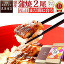 【今だけ！P2倍＆クーポンあり】母の日 まだ間に合う うなぎ ギフト 国産 豊橋産 蒲焼き 2尾選べるサイズ 中・大・特々大 約2人前〜約4人前送料無料 愛知県産 専門店 誕生日 食べ物 真空パック プレゼント 贈り物 内祝い 60代 70代 80代 花以外