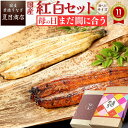 【今だけ！P2倍＆クーポンあり】母の日 まだ間に合う うなぎ ギフト 国産 豊橋産 紅白セット 蒲焼き 白焼き 各1尾選べるサイズ 中・大・特々大 約2人前〜約4人前送料無料 専門店 誕生日 食べ物 真空パック プレゼント 贈り物 ご贈答 内祝い 60代 70代 80代 花以外