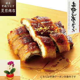 【数量限定5個】母の日 プレゼント ギフト胡蝶蘭 と うなぎ きざみ 蒲焼き 50-60g×3袋（冷蔵）少量3人前 送料無料 国産 愛知県産 専門店 39(サンキュー)ショップ お祝い 誕生日 食べ物 真空パック 贈り物 花 60代 70代