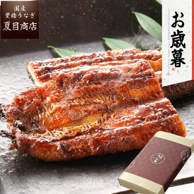 御歳暮 ギフト プレゼントうなぎ 蒲焼き 155-167g×3尾 大サイズ 大盛3人前 送料無料 国産 愛知県産 専門店 お歳暮 お年賀 福袋 クリスマス 誕生日 食べ物 真空パック 贈り物 内祝い 60代 70代 80代