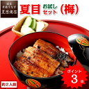 【エントリーでP10倍】うなぎ 夏目セット(梅) 3種の詰合せ 蒲焼き 約2人前送料無料 国産 愛知県産 専門店 お中元 土用の丑 暑中見舞い 残暑見舞い 誕生日 プレゼント 食べ物 真空パック 贈り物 喜ばれる 内祝い ギフト