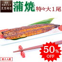 【マラソン期間限定！半額2,141円】うなぎ蒲焼 特々大211-249g×1尾 約2人前 送料無料の品物と同梱可 国産 愛知県産 専門店 バレンタイン お祝い 誕生日 プレゼント 食べ物 贈り物 ギフト