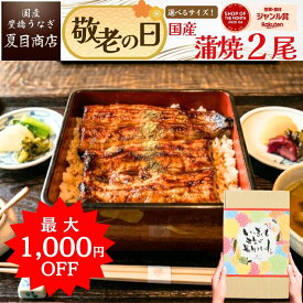 【楽天スーパーSALE限定！最大1,000円OFF】敬老の日 うなぎ 国産 ギフト プレゼント 豊橋産 蒲焼き 2尾選べるサイズ 中・大・特々大 約2人前〜約4人前送料無料 愛知県産 専門店 お中元 残暑見舞い 敬老 誕生日 食べ物 真空パック 贈り物 内祝 60代 70代 80代