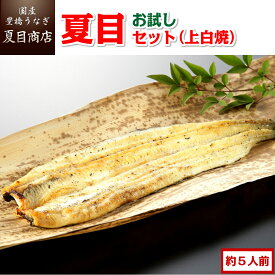 うなぎ 夏目セット(上白焼) 3種類の白焼きが入って約5人前 岩塩付 送料無料 国産 愛知県産 専門店 39(サンキュー)ショップ 母の日 父の日 お祝い 誕生日 プレゼント 食べ物 真空パック 贈り物 ギフト