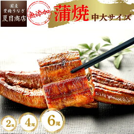 うなぎ 蒲焼き（無添加）中大サイズ 131-154g選べる 尾数 2尾 4尾 6尾送料無料 国産 愛知県産 専門店 ハロウィン お歳暮 誕生日 プレゼント 食べ物 真空パック 贈り物 喜ばれる 内祝い ギフト