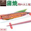 うなぎ蒲焼 特々大211-249g×1尾 約2人前 送料無料 国産 愛知県産 専門店 お歳暮 クリスマス 誕生日 プレゼント 食べ物 真空パック 贈り物 内祝い ギフト