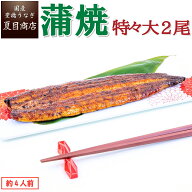 【250円OFFクーポンあり】うなぎ蒲焼き 特々大211-249g×2尾 約4人前送料無料 国産 愛知県産 専門店 お中…