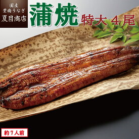 【エントリーでP5倍確定！】うなぎ蒲焼き 特大181-210g×4尾 約7人前 送料無料 国産 愛知県産 専門店 39(サンキュー)ショップ 母の日 父の日 お祝い 誕生日 プレゼント 食べ物 真空パック 贈り物 ギフト