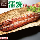 ＼最大300円OFFクーポン／ うなぎ蒲焼き 特大181-210g×6尾 約10人前 送料無料 国産 愛知県産 専門店 39(サンキュー)ショップ お中元 土用丑 土用の丑の日 暑中御見舞 誕生日 プレゼント 食べ物 真空パック 贈り物 ギフト