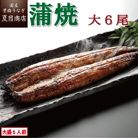 うなぎ蒲焼 大155-180g×6尾 大盛6人前 送料無料 国産 愛知県産 専門店 39(サンキュー)ショップ 母の日 父の日 お祝い 誕生日 プレゼント 食べ物 真空パック 贈り物 ギフト