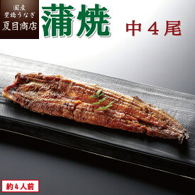 うなぎ蒲焼き 中115-130g×4尾 約4人前 送料無料 国産 愛知県産 専門店 39(サンキュー)ショップ 母の日 父の日 お祝い 誕生日 プレゼント 食べ物 真空パック 贈り物 ギフト