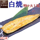 うなぎ白焼 特々大211-249g×1尾 約2人前 岩塩付 送料無料 国産 愛知県産 専門店 バレンタイン お祝い 誕生日 プレゼント 食べ物 真空パック 贈り物 喜ばれる 内祝い ギフト