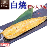 【最大150円OFF クーポン 】うなぎ 白焼 特々大211-249g×2尾 約4人前 岩塩付 送料無料 国産 愛知県産 専…