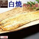【エントリーでP10倍】うなぎ白焼き 特大181-210g×1尾 1.5-2人前 岩塩付 送料無料 国産 愛知県産 専門店 お中元 土用の丑 暑中見舞い 残暑見舞い 誕生日 プレゼント 食べ物 真空パック 贈り物 喜ばれる 内祝い ギフト