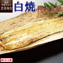 うなぎ白焼き 特大181-210g×6尾 約10人前 岩塩付 送料無料 国産 愛知県産 専門店 39(サンキュー)ショップ 父の日 お中元 土用丑 土用の丑の日 誕生日 プレゼント 食べ物 真空パック 贈り物 ギフト