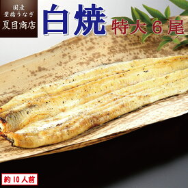 うなぎ白焼き 特大181-210g×6尾 約10人前 岩塩付 送料無料 国産 愛知県産 専門店 39(サンキュー)ショップ 母の日 父の日 お祝い 誕生日 プレゼント 食べ物 真空パック 贈り物 ギフト