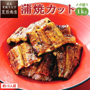 y苟zȂ Ă Jbg1kg K 145-65g  10lO  Y mY X nEB Ε a v[g Hו ^pbN 蕨 j Mtg