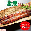 ＼WエントリーでP29%で実質10,719円／ うなぎ蒲焼き 特大181-210g×4尾 約7人前 送料無料 国産 愛知県産 専門店 お中元 敬老の日 暑中御見舞 残暑御見舞 誕生日 プレゼント 食べ物 真空パック 贈り物 内祝い ギフト