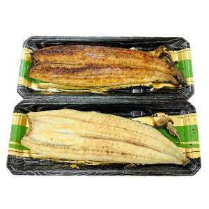 [Ve] ȂĂiĂ\j135-160g(̏Ăt)×2  Y mY X Y  ① `h