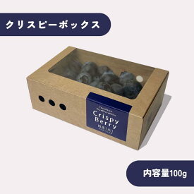 トヨカワブルーベリーヒルズ ブルーベリー クリスピーボックス 愛知県産 100g 1パック