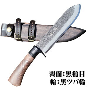 y\̔zyLvwV΁x6 / yIWi| / N~ / Ɩ Ɩږ / Sco Xeco ^Jcoց yn \Lv AEghA  iCt