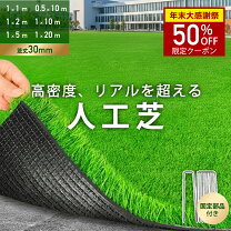 楽天市場】人工芝 2mx10mの通販