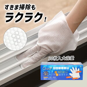 | ĝ zR Cp[ 30 |~g Ep bv TbV ܑ| |O[u ق ʉ | GAR N[[ @  @