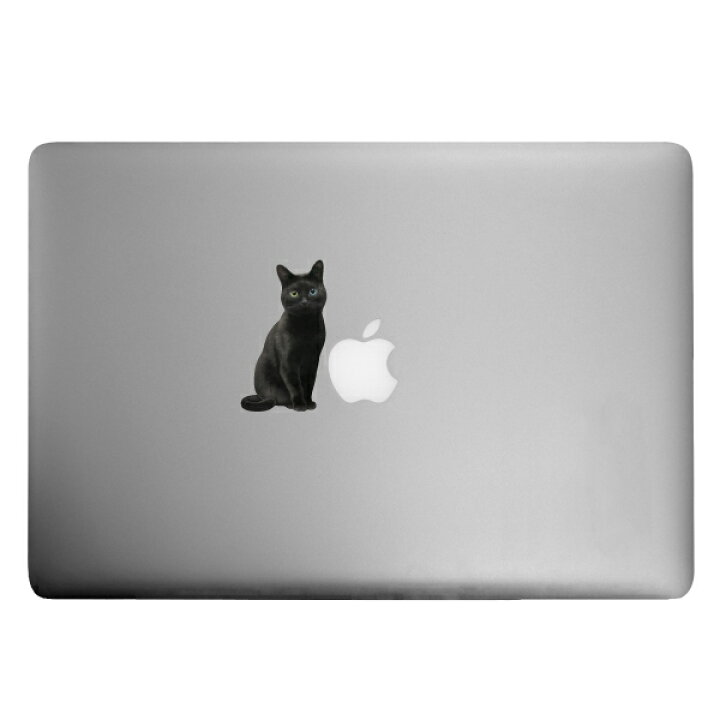 楽天市場 猫 カラーウォールステッカー Cat Life Color 黒猫 カラー インテリア ねこ ステッカー オッドアイ ネコ 壁 雑貨 グッズ シール Wall Story ウォールストーリー Toyo Labo Shop