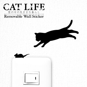 L EH[XebJ[yCAT LIFE@zWall story@CeA  V[ lR ˂ LG G ObY 킢 fR[V ȒP ͂ L LXebJ[