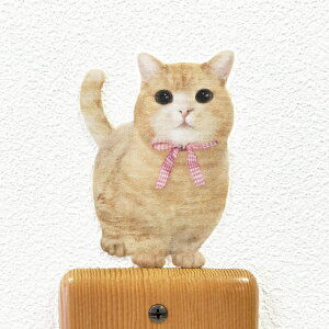 �L �J���[�E�H�[���X�e�b�J�[ �yCAT LIFE Color ���߂����˂��i�}���`�J���E���g���j�z �J���[ �C���e���A �˂��X�e�b�J�[ �G�� �O�b�Y ���킢�� �� �V�[�� �X�e�b�J�[�@Wall Story �E�H�[���X�g�[