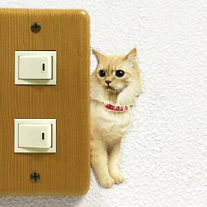 �L �J���[�E�H�[���X�e�b�J�[ �yCAT LIFE Color �˂��i�X�R�e�B�b�V���t�H�[���h�E���сj�z �J���[ �C���e���A �˂��X�e�b�J�[ ���킢�� �G�� �O�b�Y �� �V�[�� �X�e�b�J�[�@Wall Story �E�H�[���X