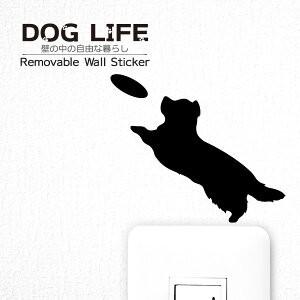 フリスビー 犬 その他犬用ペットグッズの人気商品 通販 価格比較 価格 Com