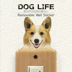 犬 カラーウォールステッカー 【DOG LIFE Color　コーギーB】カラー ステッカー 犬 雑貨 インテリア 壁 シール ドッグステッカー ドッグ グッズ　Wall Story ウォールストーリー