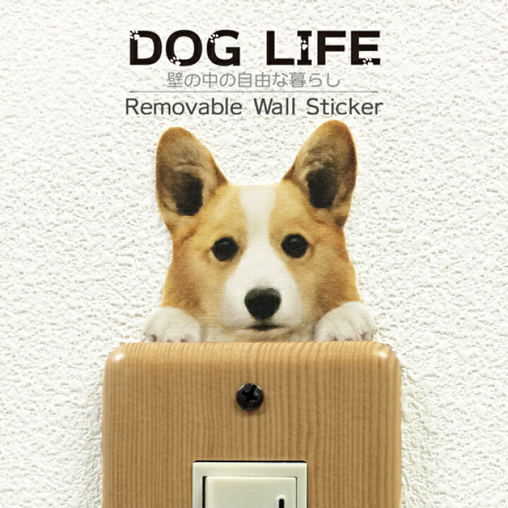 楽天市場 犬 カラーウォールステッカー Dog Life Color コーギーc カラー ステッカー 犬 雑貨 インテリア 犬 壁 シール ドッグステッカー ドッグ グッズ Wall Story ウォールストーリー Toyo Labo Shop 楽天市場 犬 カラーウォールステッカー Dog Life Color コーギーc カラー ステッカー 犬 雑貨 インテリア 犬 壁 シール ドッグステッカー ドッグ グッズ Wall Story ウォールストーリー Toyo Labo Shop
