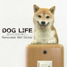 犬 カラーウォールステッカー 【DOG LIFE Color　柴犬　赤毛B】 カラー ステッカー 犬 雑貨 インテリア シール ドッグステッカー ドッグ グッズ　Wall Story ウォールストーリー