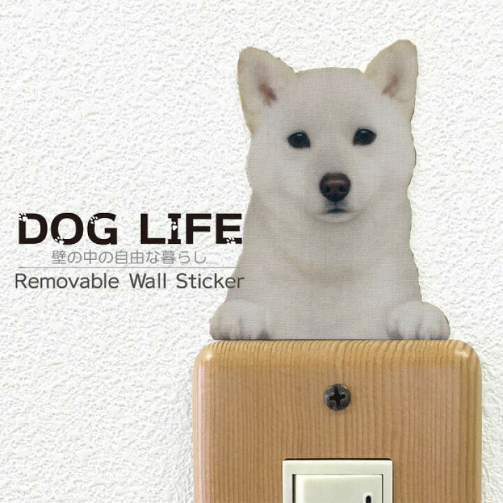 楽天市場 犬 カラーウォールステッカー Dog Life Color 柴犬 白毛 白柴 カラー ステッカー 犬 雑貨 インテリア 犬 シール ドッグステッカー ドッグ グッズ Wall Story ウォールストーリー Toyo Labo Shop