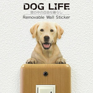  J[EH[XebJ[ yDOG LIFE Color@uh[go[z^ Ǘp J[ XebJ[  G CeA V[ 킢  hbOXebJ[ hbOObY Wall Story 
