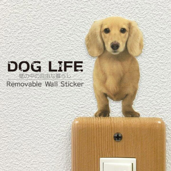 楽天市場 犬 カラーウォールステッカー Dog Life Color ミニチュアダックスフンド クリームb カラー ステッカー グッズ 犬 雑貨 ステッカー インテリア 犬 壁 シール Wall Story Toyo Labo Shop