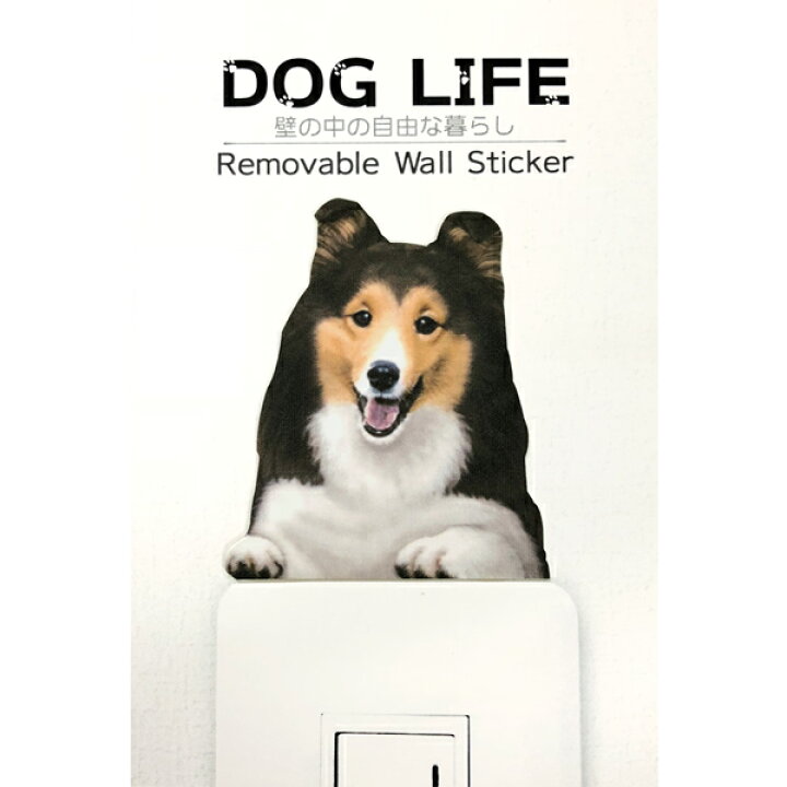 楽天市場 犬 カラーウォールステッカー Dog Life Color シェルティー セーブル カラー ステッカー シェットランド シープドッグ グッズ 犬雑貨 ステッカー インテリア 犬 壁 シール Wall Story Toyo Labo Shop