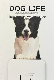 犬 カラーウォールステッカー 【DOG LIFE Color ボーダーコリー】カラー ステッカー グッズ 犬雑貨 ステッカー インテリア 犬 壁 シール Wall Story