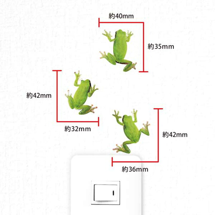 楽天市場 カエル グッズ Frogs Color アマガエル カラー ウォールステッカー カエル雑貨 爬虫類 インテリア かえるグッズ 壁 シール Wall Story Toyo Labo Shop